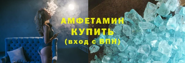 индика Ельня