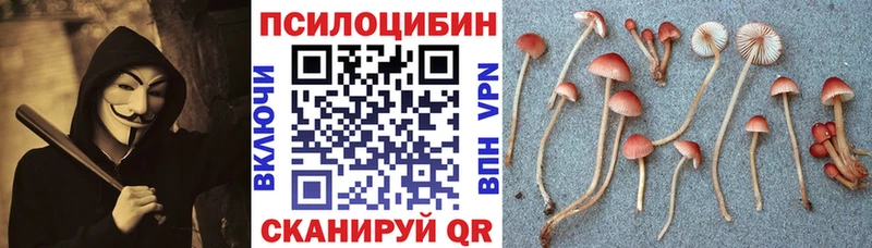 сколько стоит сайты даркнета какой сайт Псилоцибиновые грибы мицелий Полярные Зори
